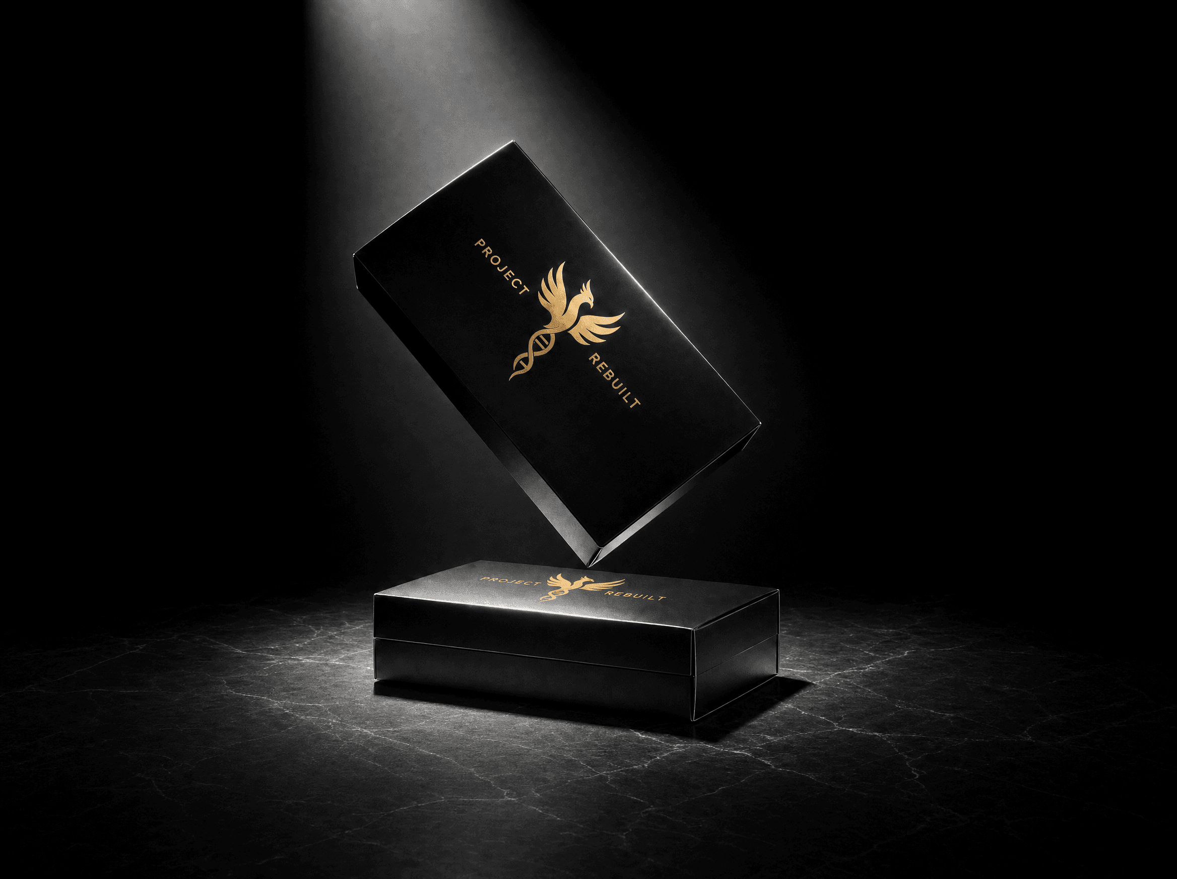 The Rebuilt DNA Kit, a black and gold Project Rebuilt test kit box